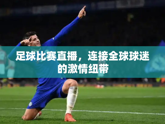 足球比赛直播，连接全球球迷的激情纽带