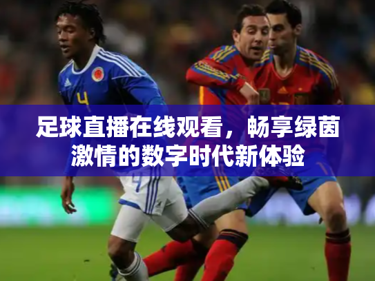 足球直播在线观看，畅享绿茵激情的数字时代新体验