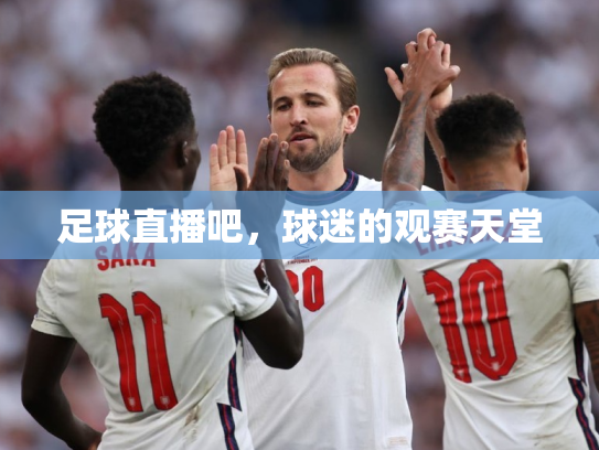 足球直播吧，球迷的观赛天堂