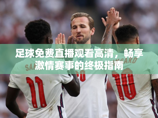 足球免费直播观看高清，畅享激情赛事的终极指南