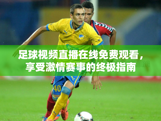 足球视频直播在线免费观看，享受激情赛事的终极指南