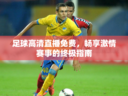 足球高清直播免费，畅享激情赛事的终极指南