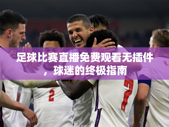 足球比赛直播免费观看无插件，球迷的终极指南