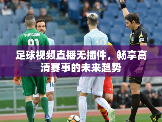 足球视频直播无插件，畅享高清赛事的未来趋势
