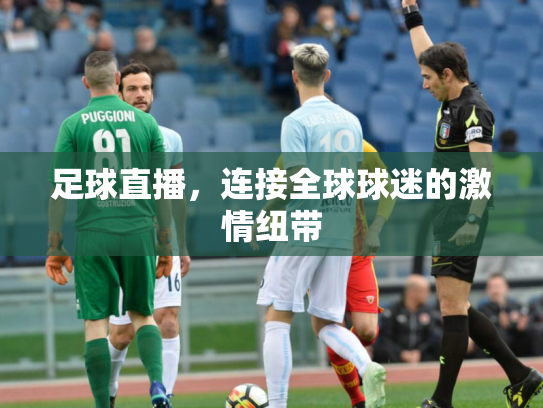 足球直播，连接全球球迷的激情纽带