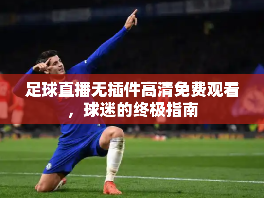 足球直播无插件高清免费观看，球迷的终极指南