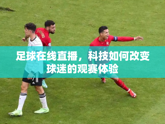 足球在线直播，科技如何改变球迷的观赛体验