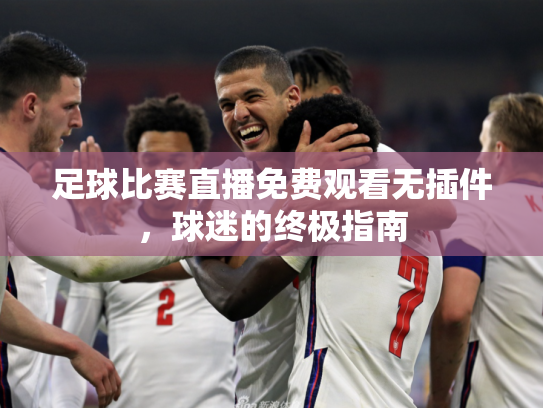 足球比赛直播免费观看无插件，球迷的终极指南