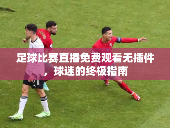 足球比赛直播免费观看无插件，球迷的终极指南