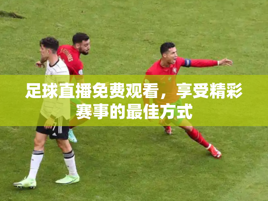 足球直播免费观看，享受精彩赛事的最佳方式