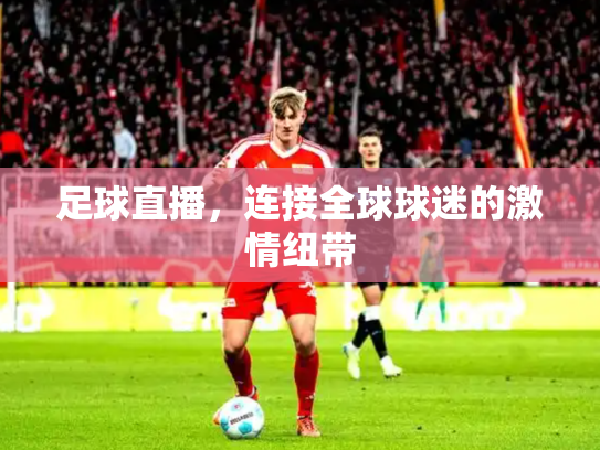 足球直播，连接全球球迷的激情纽带