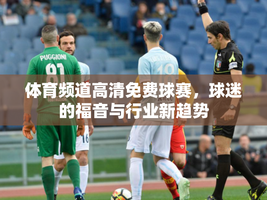 体育频道高清免费球赛，球迷的福音与行业新趋势
