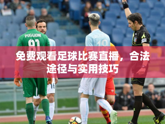 免费观看足球比赛直播，合法途径与实用技巧