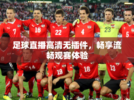 足球直播高清无插件，畅享流畅观赛体验