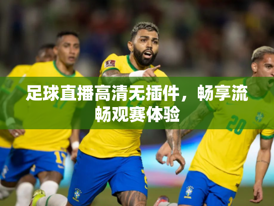 足球直播高清无插件，畅享流畅观赛体验
