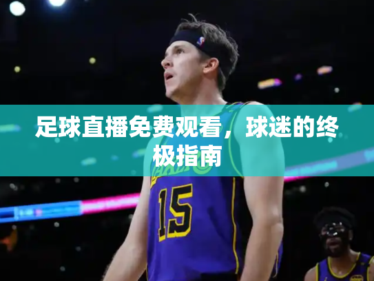 足球直播免费观看，球迷的终极指南