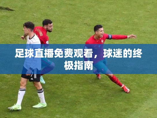 足球直播免费观看，球迷的终极指南