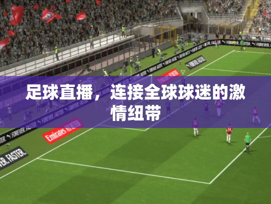 足球直播，连接全球球迷的激情纽带