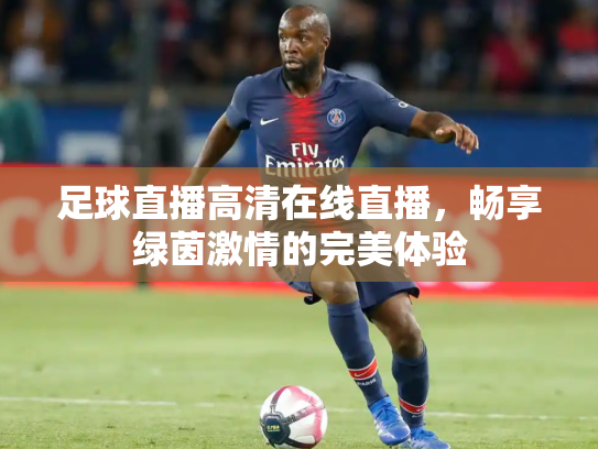 足球直播高清在线直播，畅享绿茵激情的完美体验