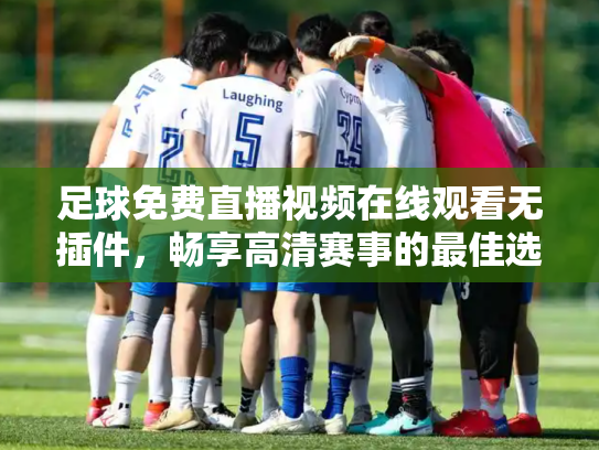 足球免费直播视频在线观看无插件，畅享高清赛事的最佳选择
