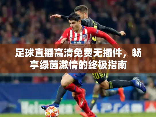 足球直播高清免费无插件，畅享绿茵激情的终极指南