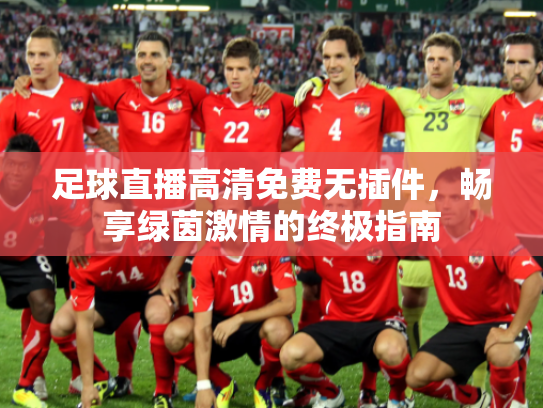 足球直播高清免费无插件，畅享绿茵激情的终极指南