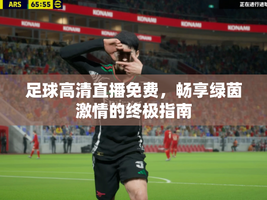 足球高清直播免费，畅享绿茵激情的终极指南