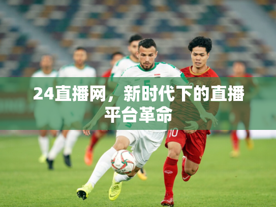 24直播网，新时代下的直播平台革命