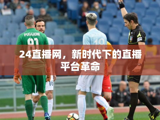 24直播网，新时代下的直播平台革命