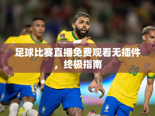 足球比赛直播免费观看无插件，终极指南