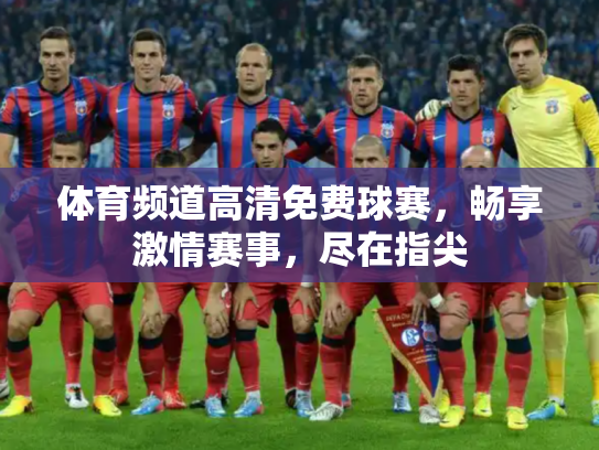 体育频道高清免费球赛，畅享激情赛事，尽在指尖