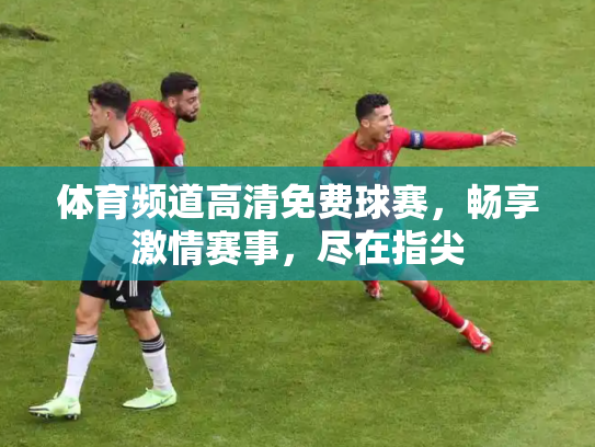体育频道高清免费球赛，畅享激情赛事，尽在指尖