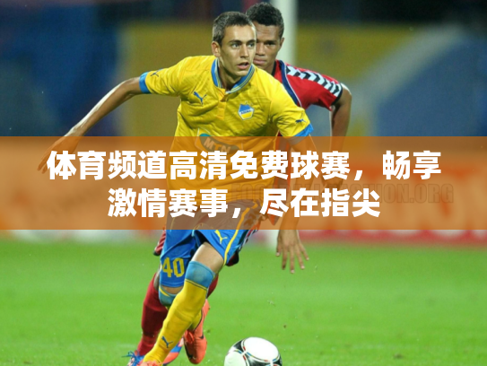 体育频道高清免费球赛，畅享激情赛事，尽在指尖
