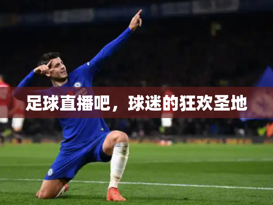 足球直播吧，球迷的狂欢圣地
