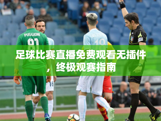 足球比赛直播免费观看无插件，终极观赛指南