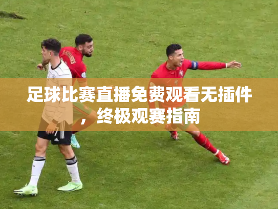 足球比赛直播免费观看无插件，终极观赛指南