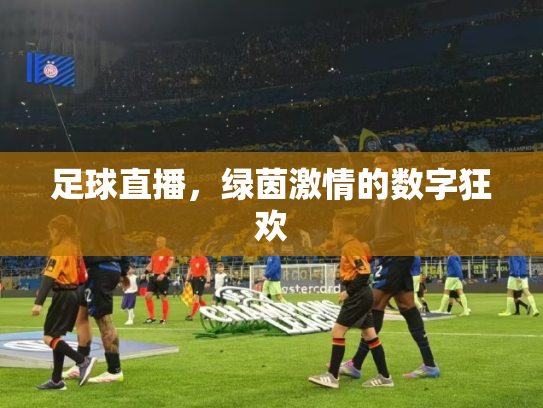 足球直播，绿茵激情的数字狂欢