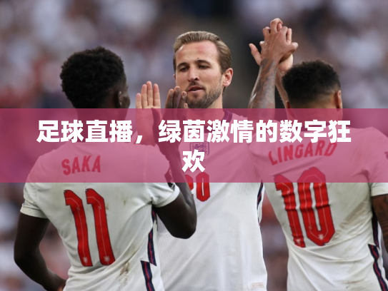 足球直播，绿茵激情的数字狂欢