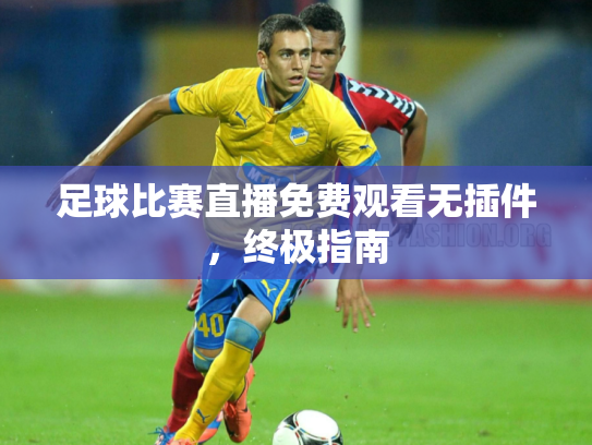 足球比赛直播免费观看无插件，终极指南