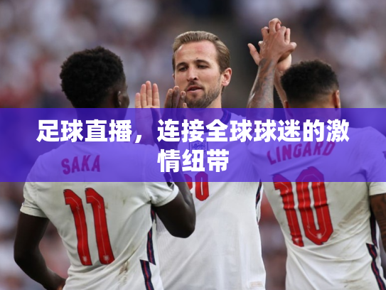 足球直播，连接全球球迷的激情纽带