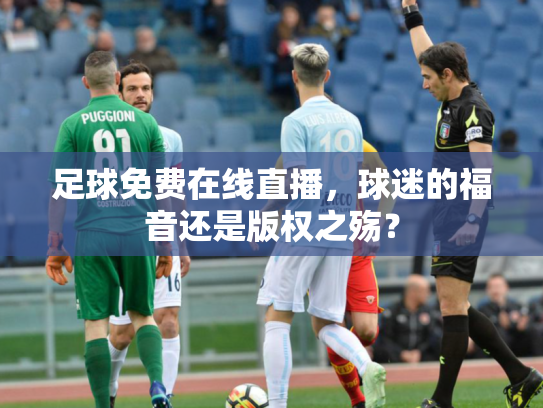足球免费在线直播，球迷的福音还是版权之殇？