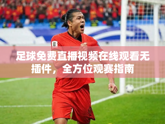 足球免费直播视频在线观看无插件，全方位观赛指南