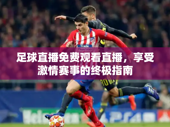 足球直播免费观看直播，享受激情赛事的终极指南