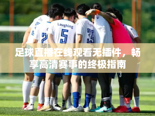 足球直播在线观看无插件，畅享高清赛事的终极指南