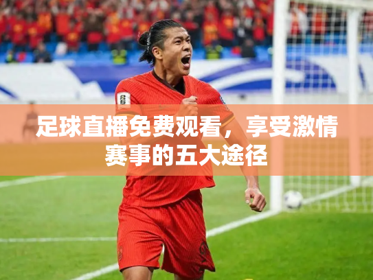 足球直播免费观看，享受激情赛事的五大途径