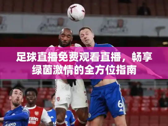 足球直播免费观看直播，畅享绿茵激情的全方位指南