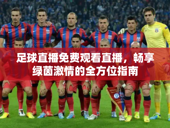 足球直播免费观看直播，畅享绿茵激情的全方位指南