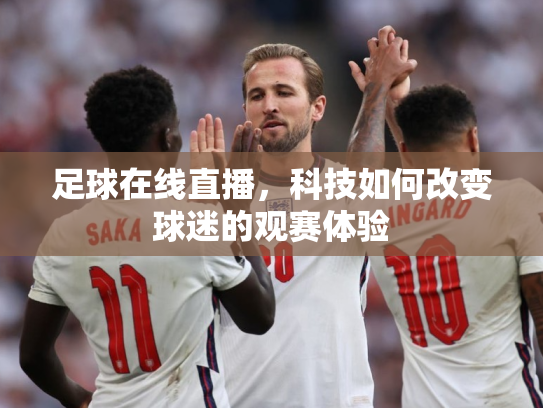 足球在线直播，科技如何改变球迷的观赛体验
