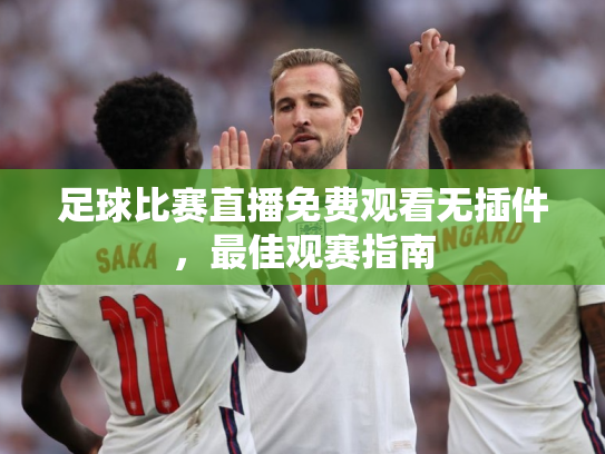 足球比赛直播免费观看无插件，最佳观赛指南