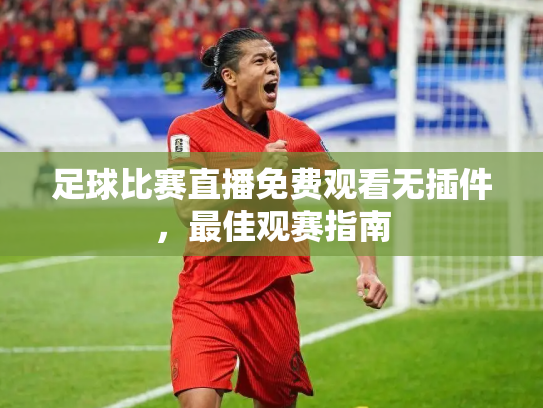 足球比赛直播免费观看无插件，最佳观赛指南